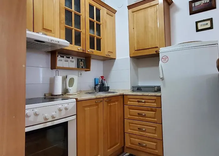 Vienna Apartment Banja Koviljača