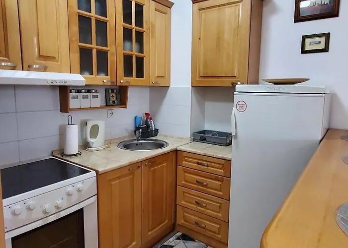 Vienna Apartment Banja Koviljača